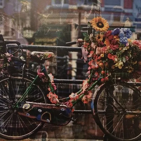 Museum Lane Ámsterdam